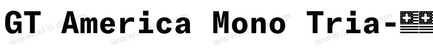 GT America Mono Tria字体转换